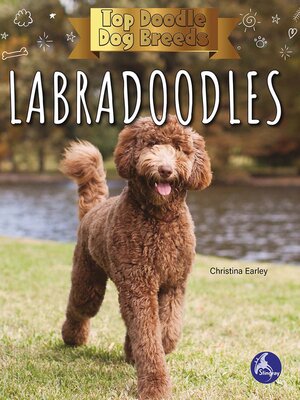 cover image of Labradoodles